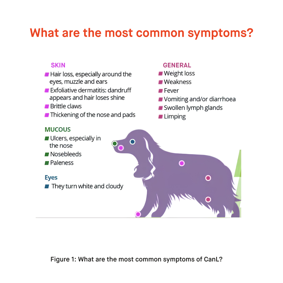 Vetfor Blog16 Figure 1