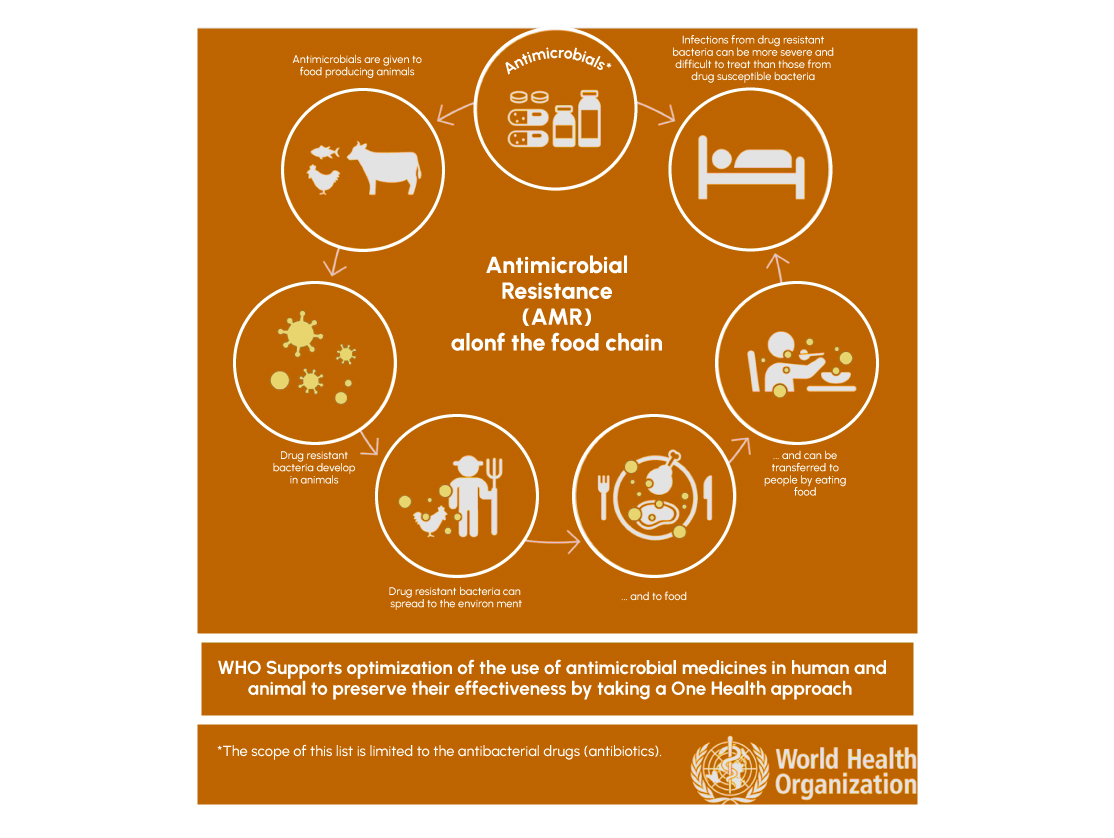 Figure 2: Antimicrobial Resistance (AMR) along the food chain.