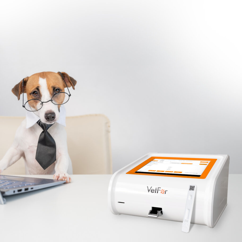 Enhancing Canine Cardiac Care: The VetFor cNT-proBNP Rapid Test Kit (FIA)