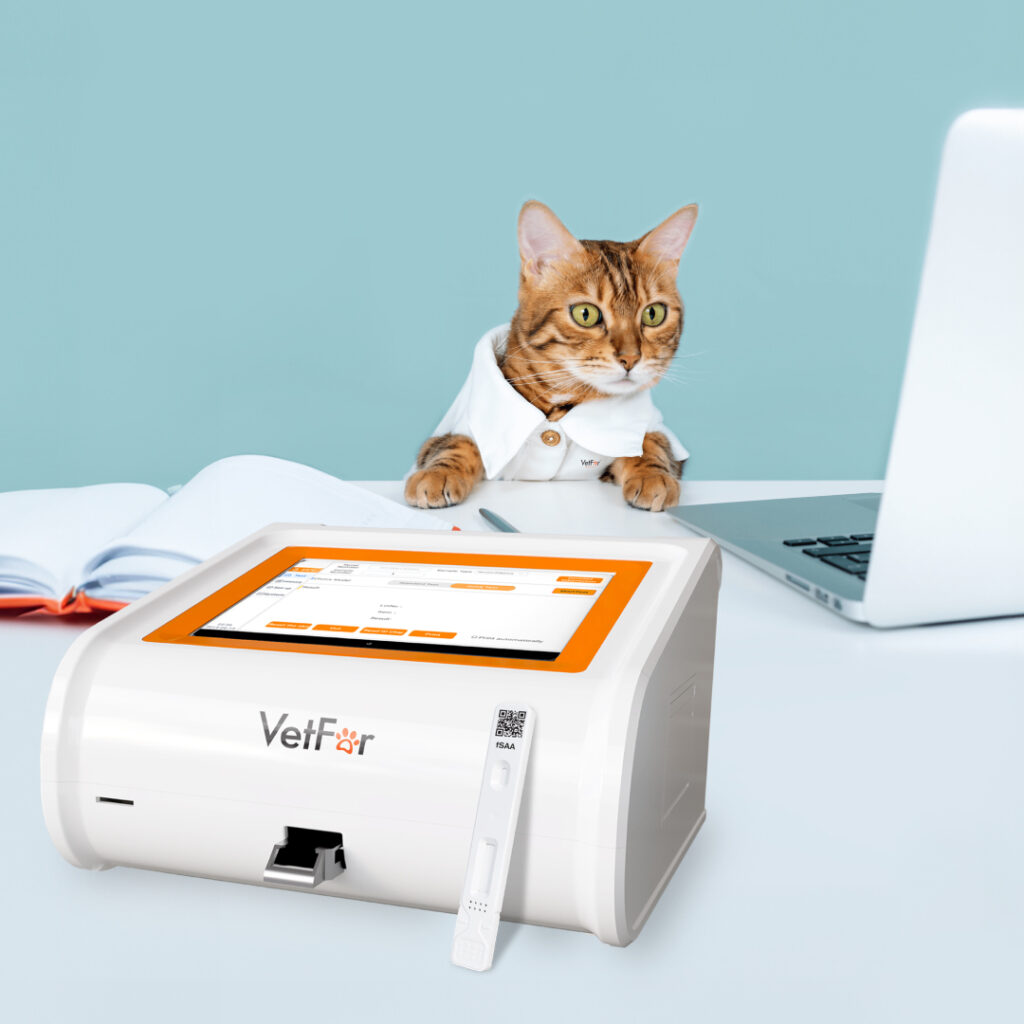 Early Disease Detection in Cats: The Power of VetFor Feline SAA Rapid Test Kit (FIA)