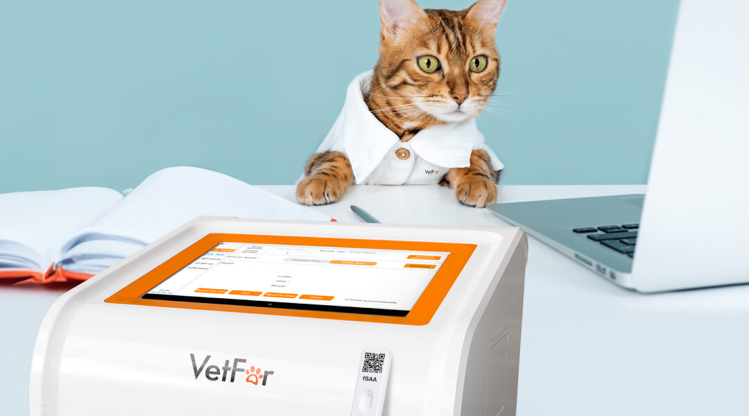 Early Disease Detection in Cats: The Power of VetFor Feline SAA Rapid Test Kit (FIA)