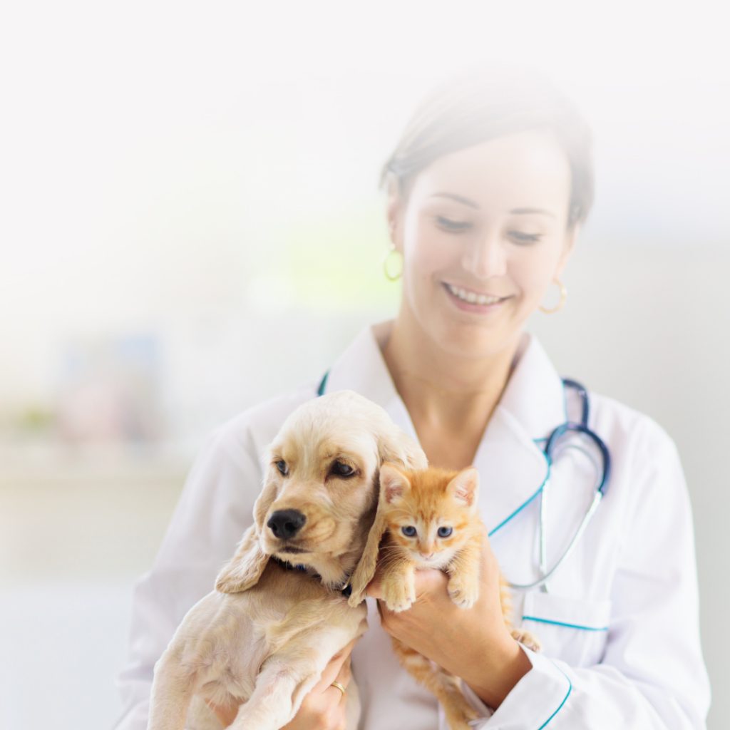 Giardia Rapid Antigen Test Kit: Enhancing Veterinary Diagnostics