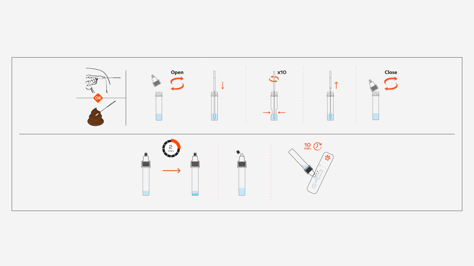 Figure 1: How to use the Giardia Rapid Antigen Test Kit