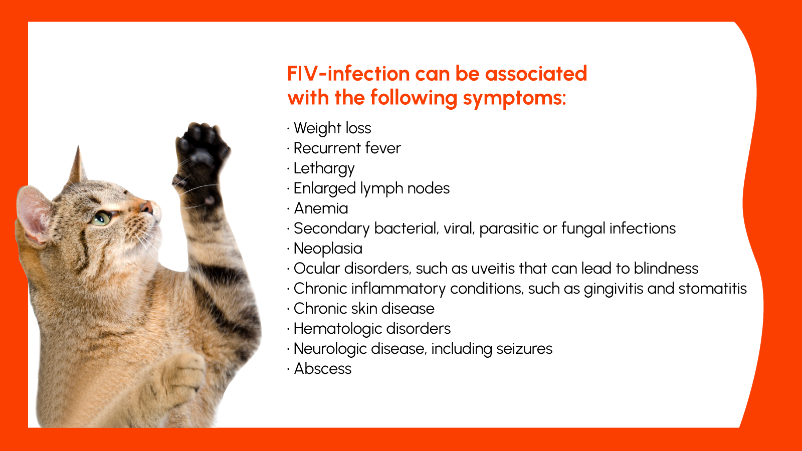 Figure 1: Clinical signs of FIV in cats 
