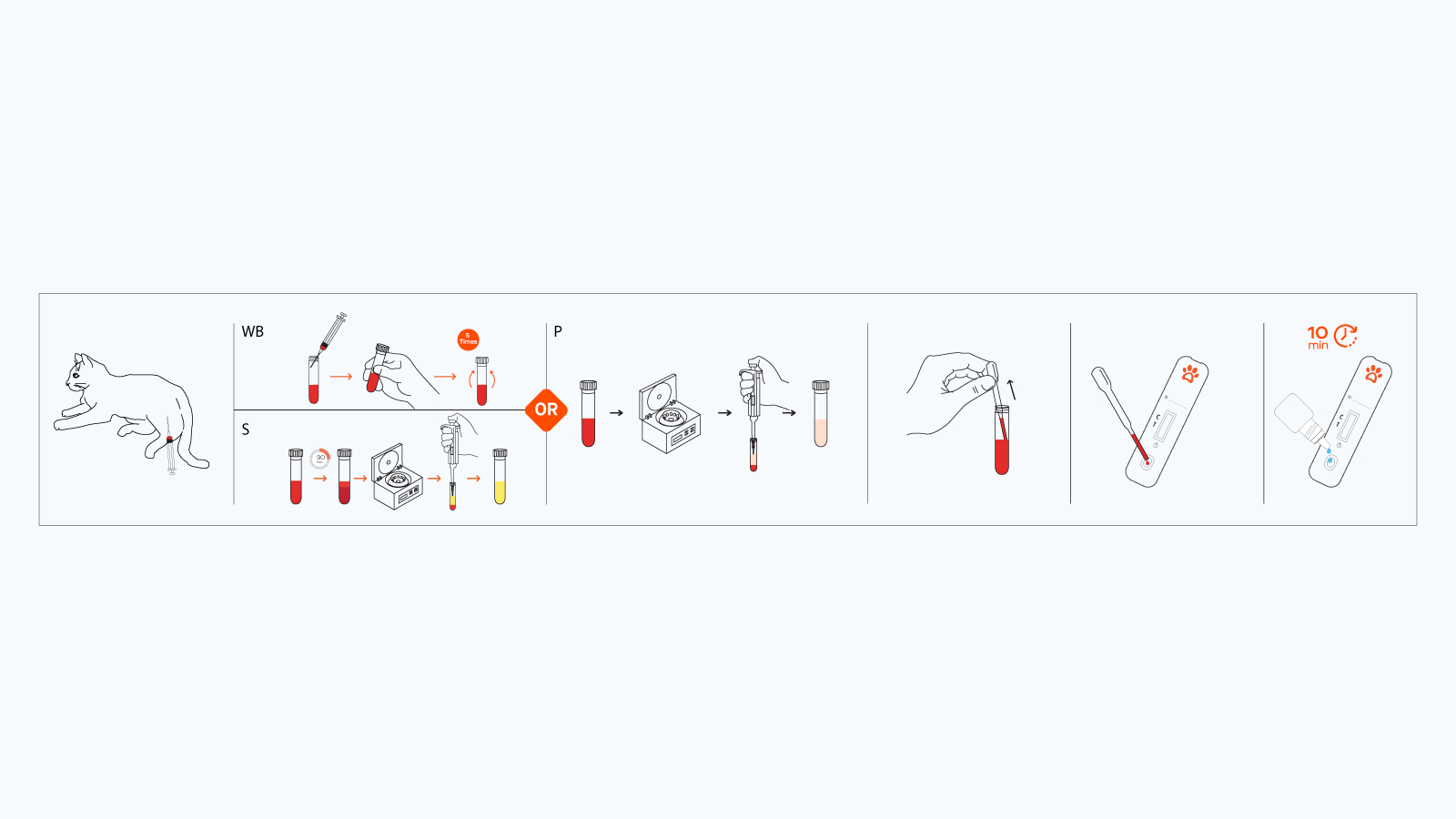 Figure 3: Step-by-Step Process for Using the Rapid Test Kit
