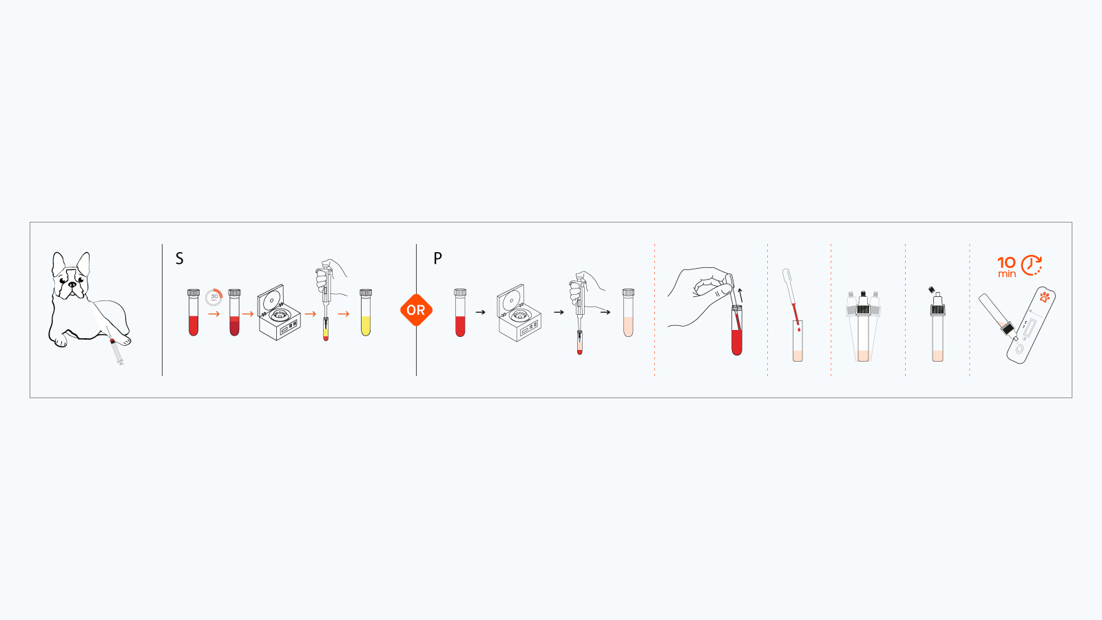 Figure 3: The workflow of the Leishmania Rapid Antibody Test Kit