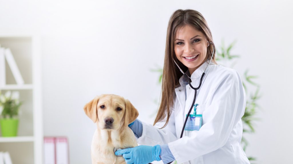 CPV+CCV+Giardia Combo Rapid Antigen Test Kit: A Rapid & Reliable Diagnostic Tool for Canine Health