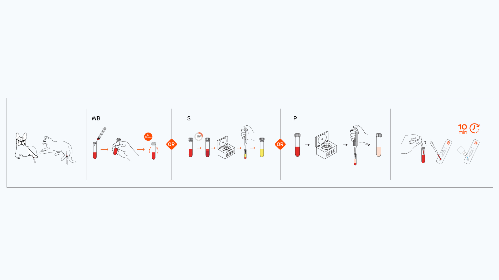 Figure 3: How to use the HW rapid antigen test kit