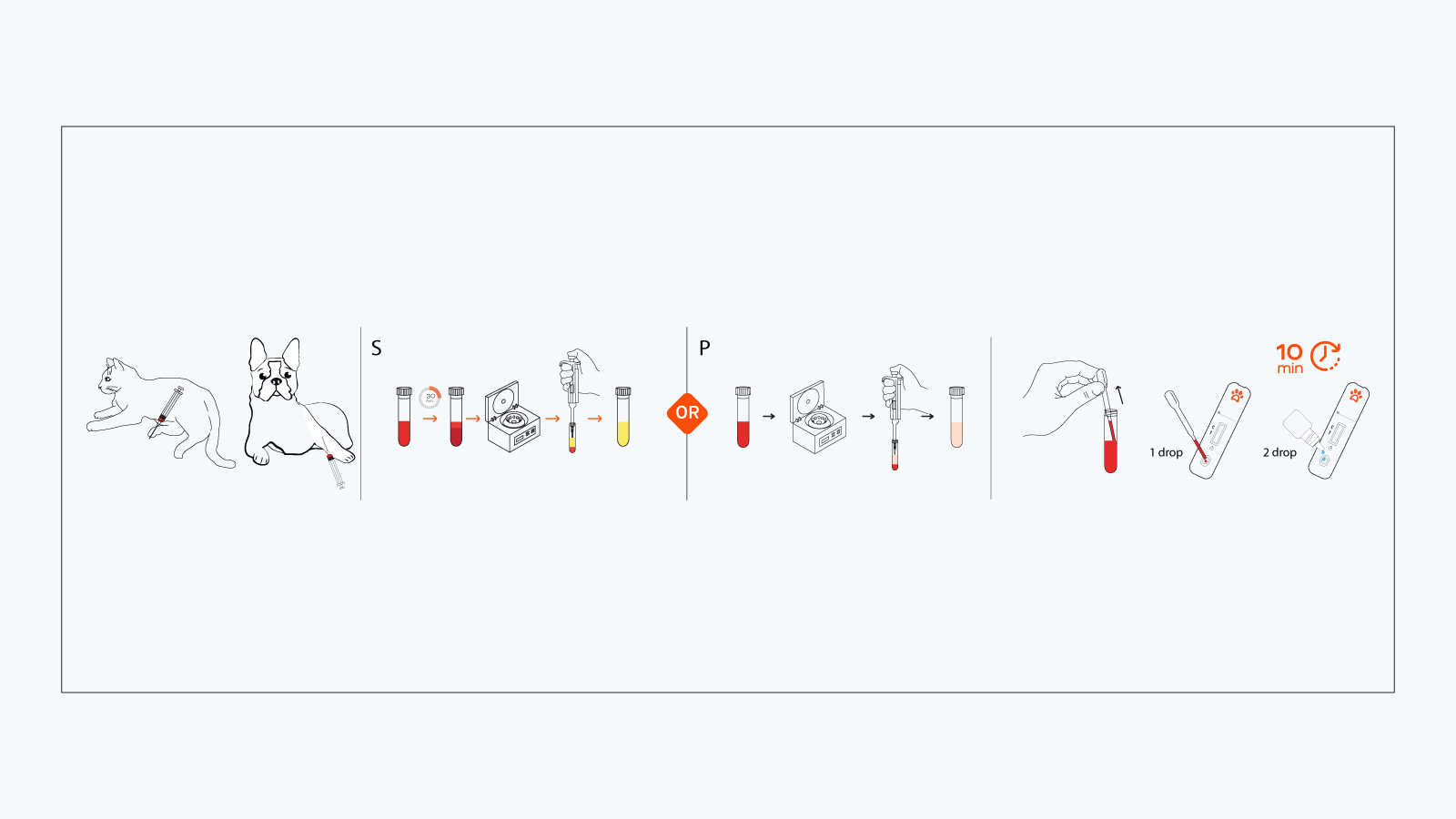 Figure 3: How to use the Toxo rapid antibody test kit