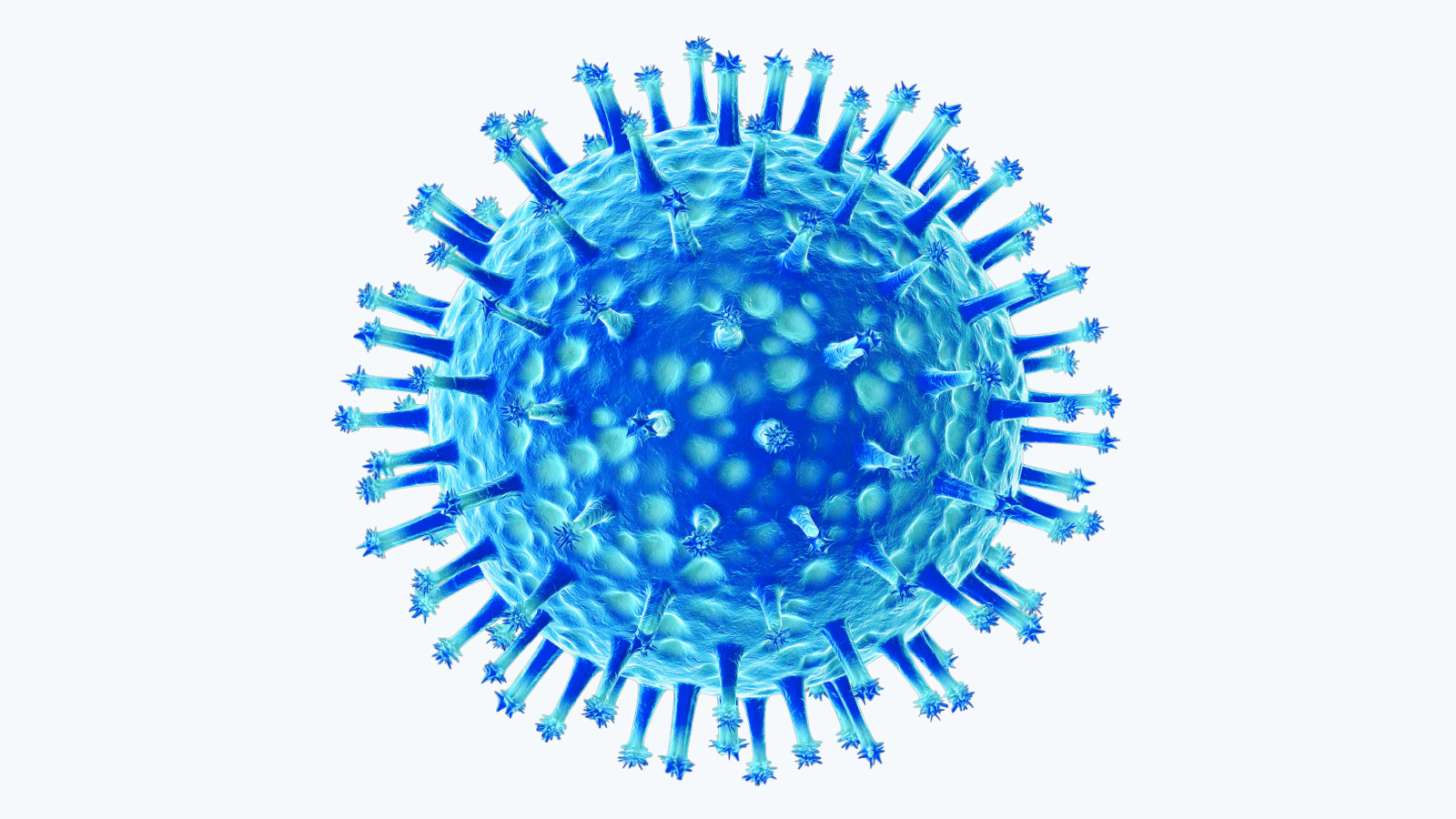 Figure 1. Canine Distemper Virus