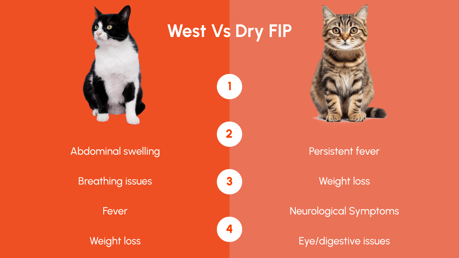 Figure 1: Wet vs Dry FIP