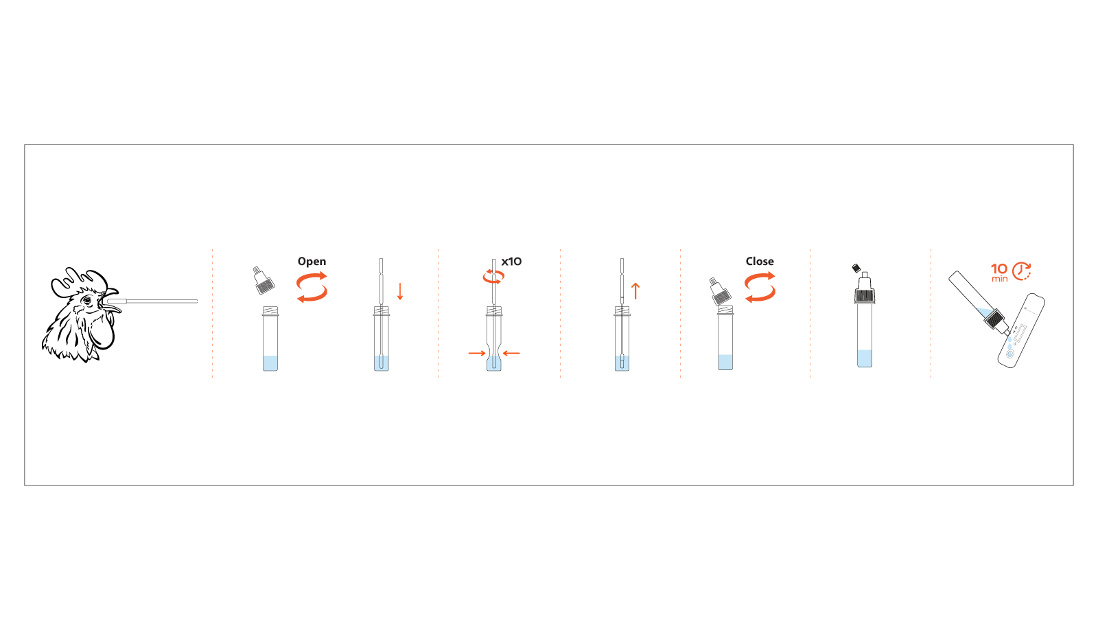 Figure 2. VetFor NDV Rapid Antigen Test Kit Workflow VVS19