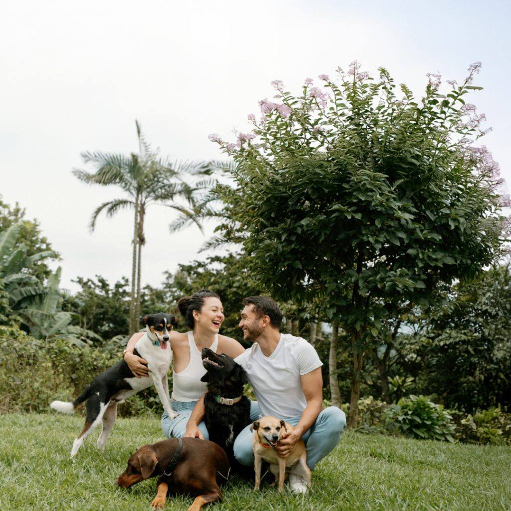 Understanding Canine Heartworm and the Power of Early Diagnosis: Why the VetFor CHW Detection Kit is a Game-Changer