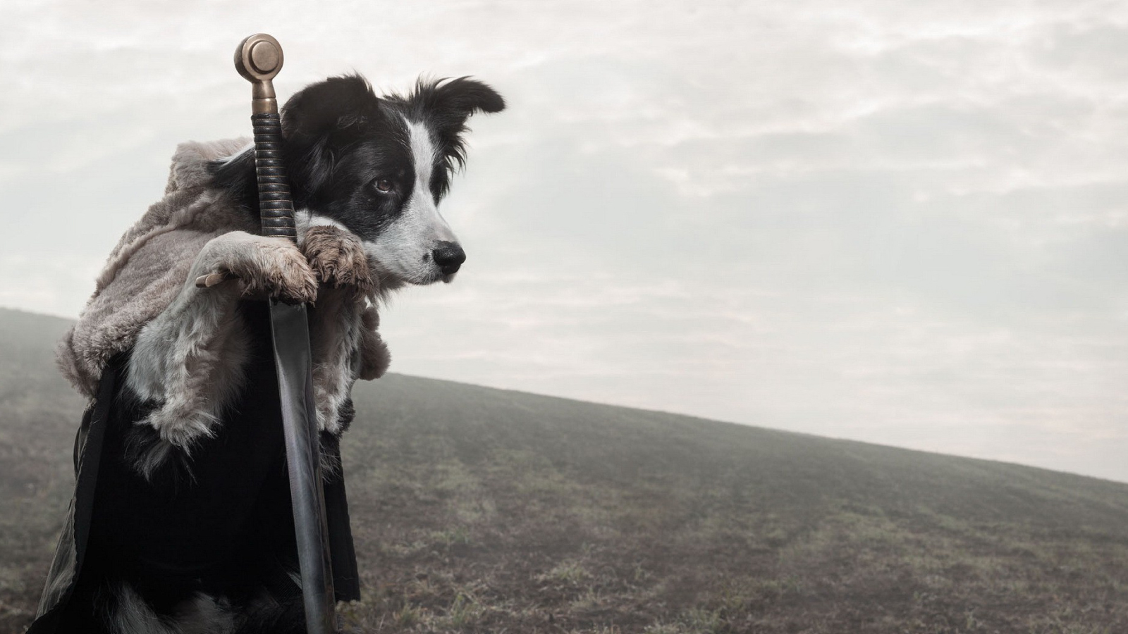 Figure 1. Sentinel against multi-system mayhem - knight vs. CDV.