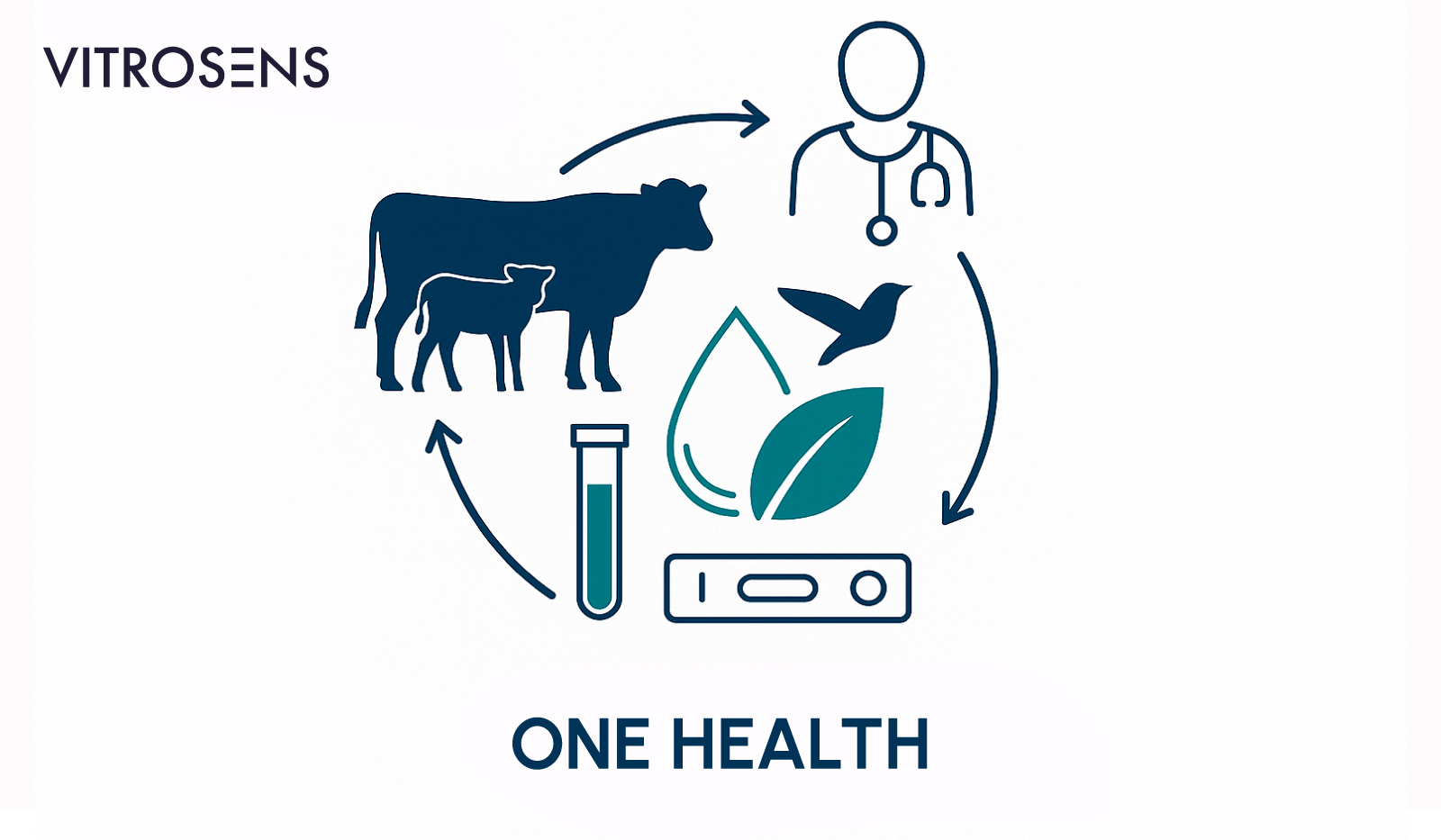 Figure 7. One Health schematic linking cattle, humans, environment.