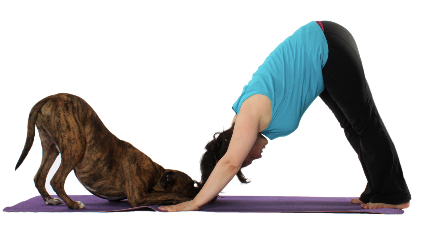 Figure 2. Praying posture in suspected pancreatitis, this stance may indicate abdominal pain relief.