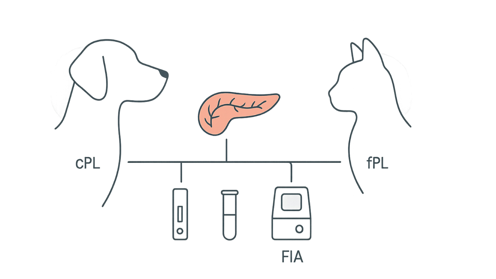 Figure 1. cPL/fPL overview; pancreas specific lipase testing in dogs and cats using SNAP, Spec, and FIA.