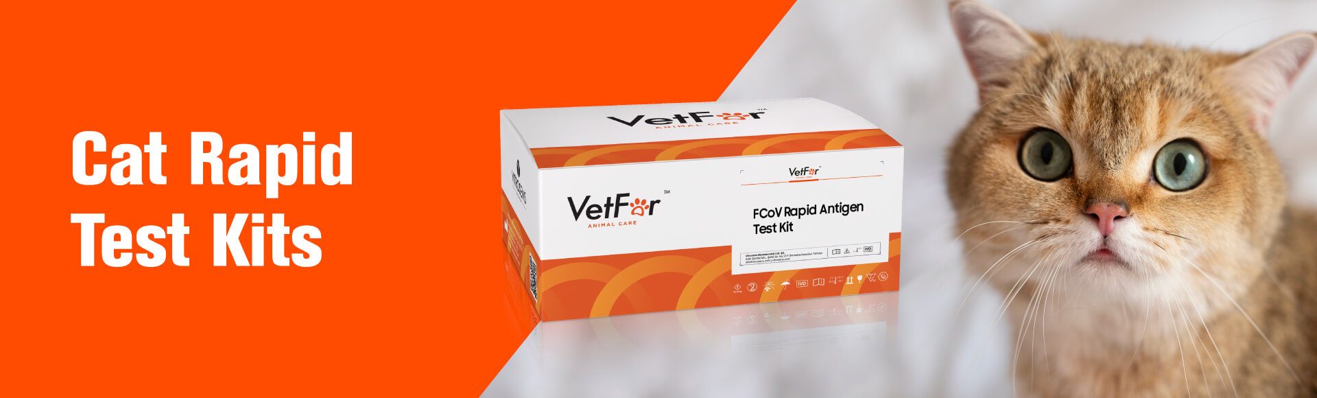 cat-rapid-test-kits