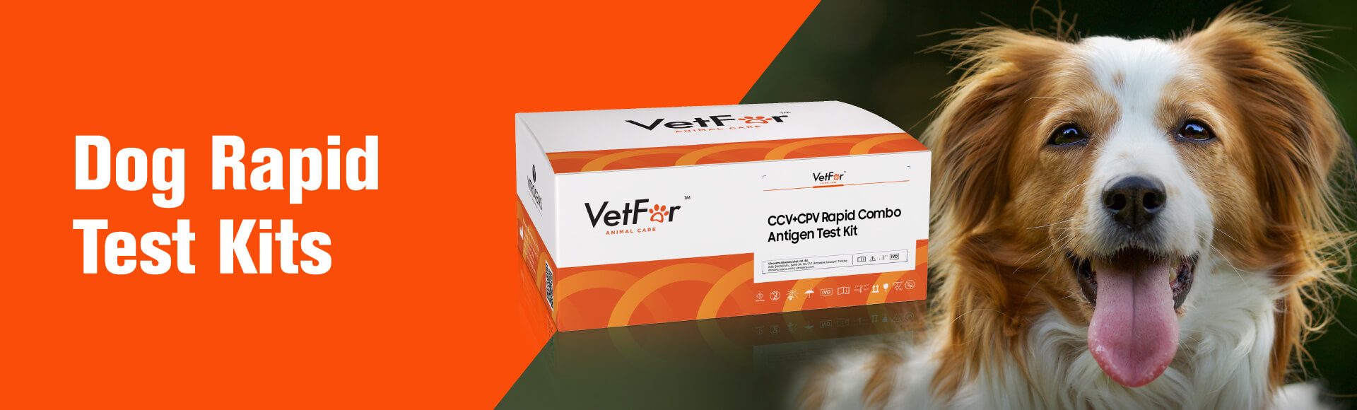 dog-rapid-test-kits